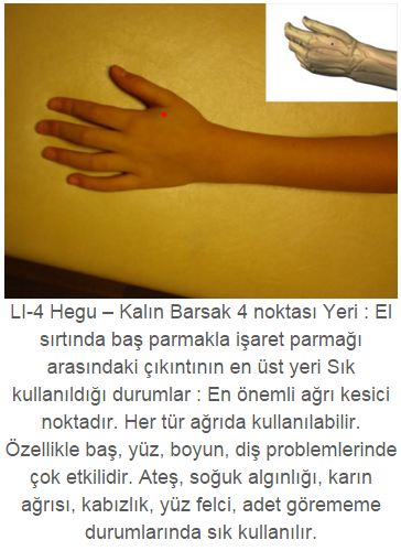 bu noktalara bastırarak sinirlerinizi harekete geçirin ve zayıflayın, Bir sonraki nokta ve etkilediği bölgeyi okumak için görsele tıklayın