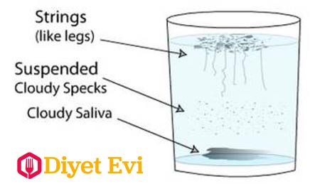 Kandiyasis’in sebep olabileceği hastalıklardan obezite, diyabet, kalp damar hastalıkları, hormonal bozukluklar, kanser ve sinir sistemi hastalıkları adeta insanların kaderi haline geldi. Çocuklarda alerjik hastalıklar, akıntılar, tıkanıklıklar, otizm, hiperaktivite ve dikkat bozukluğu giderek artıyor.