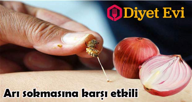5- Soğan arı ve böcek sokmalarına karşı etkilidir: Eğer alerjik iseniz arı sokması ölümcül sonuçlar doğurabilir. Hemen arının iğnesini vücudunuzdan çıkartın ve soğanı o bölgeye sürün. Zehrin etkisini ortadan kaldıracaktır. Soğanı sütle karıştırıp içince ne oluyor öğrenmek için görsele tıklayın ve diğer fotoğrafa geçin.
