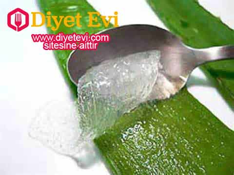 Aloe vera suyunun yan etkileri : Aloe vera suyunun birkaç yan etkisi bulunur, ayrıca bazı kişilerde olumsuz reaksiyonlara yol açabilir. Bu yan etkiler arasında şunlar görülür: Elektrolit kaybı iyileşme sürecinde gecikmeye ol açar ve idrar rengini pembemsi bir tona çevirebilir. Sıvı dengesizliği. Bağırsak krampları. Ayrıca, Crohn’s hastalığı, bağırsak sorunları, adet görenler, apandisit iltihabı veya kolit gibi sorunlarda ilaç kullanan insanlarda olumsuz etki yapabilir. Her halükarda yapılacak en doğru şey önce doktora gitmektir. Şifalı aloe vera suyunu hazırlamak için görsele tıklayın ve 6. fotoğrafa geçin.