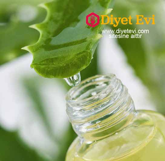 Şifalı aloe vera suyu nasıl hazırlanır: Aloe vera suyu hazırlığına başlamadan önce, taze aloe vera jelinin bir kere havayla temasa geçti mi çok hızlı bir şekilde oksitleneceğini akılda tutmalıyız. Dolayısıyla,suyu hazırlamaya başlamadan hemen önce çıkartmanız ve yaprağı açtıktan hemen sonra jeli işlemeniz önerilir. Çok keskin bir bıçak yardımı ile yaprağın dış dikenini kesip atın. Ardından, bıçağı derhal yıkayın. Sapı ayırın ve içinden jeli çıkarın. Mikserin içine bol miktarda aloe vera jeli dökün, narenciye suyu (örneğin portakal veya greyfurt) ekleyin ve son olarak tüm malzemeleri birkaç dakika boyunca karıştırın. Narenciye suyunun önerilmesinin sebebi açığa çıkan aloe vera jelini stabilize etmeye yardımcı olması ve bu sayede jele daha iyi bir tat vermesidir. İşlenmiş suyu ağzı kapalı bir kaba dökün, buzdolabına yerleştirin ve ardından bir bardak aloe vera suyu yapmak için bir bardak suyun içine iki yemek kaşığı kadar boşaltın. Aloe vera suyu bir haftaya kadar buzdolabının içinde kalabilir, ancak maksimum fayda için, birkaç gün içinde tüketmeniz önerilir.