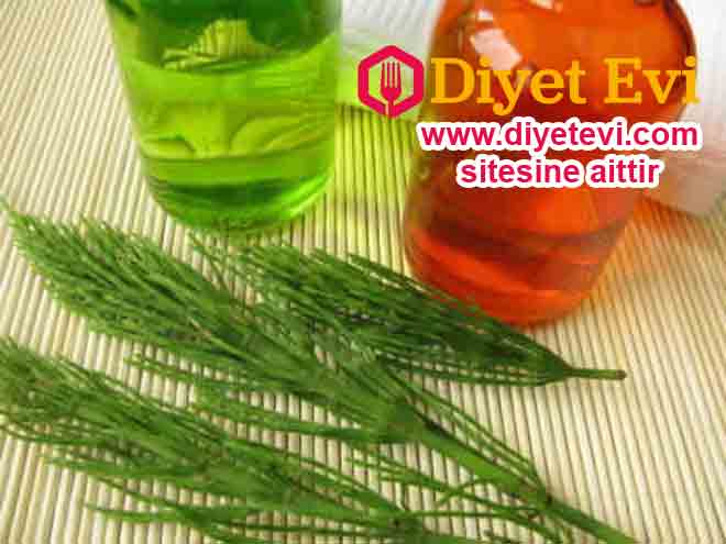 At kuyruğu çayı: At kuyruğu otu ödemle savaşmaya en iyi gelen bitkilerden bir tanesidir. Eczanelerde, aktarlarda bunu bulabilirsiniz ve neden yardımcı olduğunun da bir çok sebebi vardır: Tıkanmayı önler, kan akışını yavaşlatır. Silikon içerir, bu da cildi yenilemeye ve bağ dokuyu onarmaya yardımcı olan bir mineraldir. Çok etkilidir, ürin üretiminizi artırır ve doğal temizleyici bir diüretik gibi davranarak toksinleri elimine eder. İlginçtir ki, at kuyruğunun 2 aktif içeriği vardır, bunlar dolaşımı destekler ve toksinleri kandan filtreler. En iyi sonuçları almak istiyorsanız eğer, at kuyruğu çayını sabah içmek en iyi seçenektir. Son olarak yapmanız gerekenleri okumak için görsele tıklayın ve 6. fotoğrafa geçin.