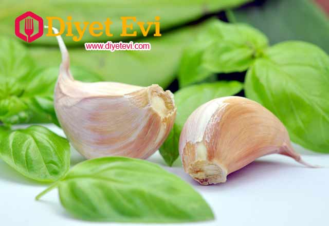 Boyunda ve vücudumuzda bulunan siğillerden kurtulmanın en etkili yöntemlerinden birisi sarımsaktır. Güçlü antiviral anti-mantar ve antibakteriyel özellikleri ile sarımsak siğillerin neden olduğu viral enfeksiyonla mücadelede oldukça etkilidir. Bir kaç diş sarımsağı siğillerin üzerine koyun ve bandaj ile bantlayın. 30 dakika kadar bekletin ve su ile yıkayın. Bu işlemi 2 hafta boyunca günde 2 kere tekrarlayın ve siğillerinizden kurtulun. Not: eğer şeker hastalığınız var ise mutlaka doktora gösterin. Vücudunuzun hassas bölgelerinizdeki siğiller için uygulamayın.Elma Sirkesi tedavisi için görsele tıklayın ve 3. fotoğrafa geçin.