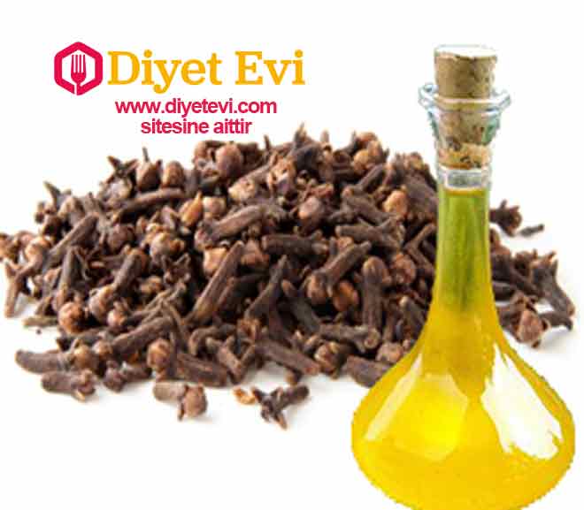 5-Karanfil Yağı: Diş etleriniz kanıyor ise karanfil yağı ile diş etlerinize masaj yapın. Bu işlem hem kanamayı durdurur hem de hastalıkla müdahale ederek iyileşmesine yardımcı olur. Başlangıçta yanma hissi hissedebilirsiniz ama birkaç dakika içinde bu yanma hissi kaybolur.