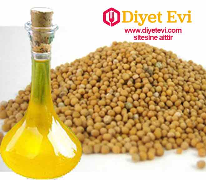 6-Hardal Yağı: Hardal yağı vitamin olarak zengindir ve hastalıkla mücadelede ağrıları geçirerek kan dolaşımını artırır. Antioksidan açısından zengin olan hardal yağı diş etlerine dairesel hareketlerle uygulanır. Birkaç dakika bu şekilde diş etlerinizde kalan hardal yağını daha sonra ılık su ile durulayın. Daha güçlü diş etlerine sahip olmak istiyorsanız bu işlemi her gün tekrarlayın.
