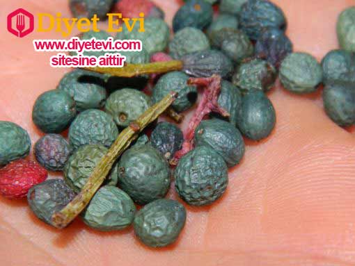 SAÇ İÇİN KULLANIMI: Düzenli olarak kullanılması gereken bir organik bir sabundur. Bıttım sabunu kullanırken başka kimyasal şampuanların kullanılması etkisini azaltacaktır. Bu sebeple bir gün bıttım sabunu ile bir gün şampuan ile yıkamanız doğru olmaz. Ayrıca her gün değilde 2 günde bir saçını yıkamanız tavsiye edilir. Fakat her gün yıkanmanız gerekiyorsa; yine şampuan kullanmadan bıttım sabunu ile saçınızı yıkayabilirsiniz. Saçlarınızı iyice ıslattıktan sonra bıttım sabununu güzelce saç derinizde köpürtün. Saç diplerinize masaj yaparak sabunu iyice yedirin ve tüm saçınıza uygulayın. Ardından ılık su ile iyice durulayın.