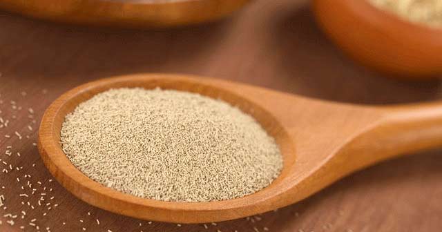 7. Sedef hastalığı için alınabilecek takviyeler Sedef hastalığıyla savaşta size en çok yardımcı olacak üç ana malzeme aşağıdadır: -Bira mayası: Vitamin ve mineraller açısından çok zengin bu maya cilt için dört dörtlük bir temizleyicidir. -Keten tohumu yağı: Bu bitki yağı yağ asitleri açısından çok zengindir. -Isırgan otu: Bu bitki cilt için inanılmaz temizleyici özelliklere sahiptir. Taze veya kuru, kapsülde veya çay olarak tüketebilirsiniz.