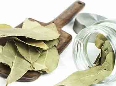 Defne Yaprağı Çayı Nasıl Yapılır?Defne yaprağı çayı da vücuda çok faydalıdır.Defne Yaprağı Çayı Hazırlamak İçin 1.Yöntem: İlk yöntemde 1 büyük bardak suyu 3 defne yaprağıyla birlikte kaynatın. Kaynadıktan sonra ocağın altını kapatın ve 5 dakika demlenmesini bekleyin. Demlendikten sonra süzerek içebilirsiniz.Defne Yaprağı Çayı Hazırlamak İçin 2.Yöntem: İkinci yöntemde öncelikle 1 büyük bardak suyu kaynatın ve ocağın altını kapatın. Ardından 3-4 adet defne yaprağını bardağın içerisine ilave edin ve bardağı ağzı kapalı bir şekilde 10 dakika kadar demleyin.Not: Dilerseniz çayınızı tatlandırmak isterseniz 2 yemek kaşığı süt veya 2 çay kaşığı bal ilave edebilirsiniz. Lütfen ihtiyacı olanlar için paylaşın