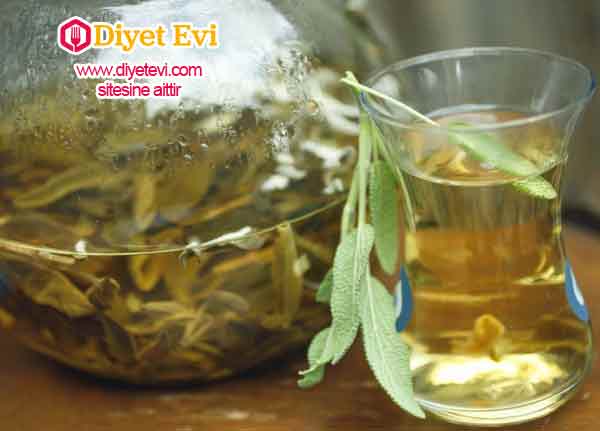 Adaçayı: Dişlerinizi fırçalayıp ağzınızı iyice çalkalayın. Ardından bir çay kaşığı karbonat, 1 çay kaşığı adaçayı ve bir çay kaşığı tarçını iyice karıştırın. Bu işlemi her gece tekrarlayın. Çok değil 1 hafta içinde dişlerinizdeki beyazlığı fark edeceksiniz. TUZ: Karbonat kadar etkili olmasa da diş eti iltihabı ve diş eti ödemlerine karşı etkilidir. Bir çay kaşığı karbonat, 1 çay kaşığı tuz ve 1 çay kaşığı sirkeyi karıştırıp fırça ile dişlerinize sürdüğünüzde etkili bir beyazlık sağlayabilirsiniz.