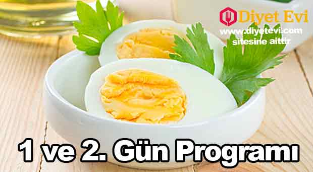 Yumurta Diyeti 1. Gün Listesi Sabah (TÜM GÜNLERDE AYNI): 1 veya 2 adet katı olarak haşlanmış yumurta, 1 adet greyfurt, 1 fincan kadar şekersiz çay veya kahve Öğle: 2 adet yumurta ile 1 adet greyfurt Akşam: 1 adet greyfurt, 1 fincan kahve ile birlikte 2 adet yumurta, karışık salata ve 1 dilim kızarmış tam buğday ekmeği. Yumurta Diyeti 2. Gün Listesi Öğle: 2 adet katı haşlanmış yumurta, ile birlikte 1 fincan sade Türk kahvesi ve 1 adet domates Akşam: 1 adet domates, 1 adet kabuğu soyulmamış salatalık, 5 adet kadar zeytin ve dilediğiniz kadar marul ile birlikte 1 parça ızgara biftek 3. ve 4.gün diyet menüsüne geçmek için görsele tıklayın