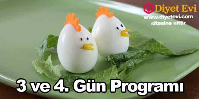 Yumurta Diyeti 3. Gün Listesi Öğle: 1 fincan sade türk kahvesi ardından 2 adet katı haşlanmış yumurta ve 1 tabak haşlanmış ıspanak. Akşam: 1 adet domates, 1 fincan şekersiz çay, 1 kase kadar haşlama kereviz, 1 adet salatalık ile birlikte 2 adet ızgara kuzu pirzola. 2. güne geçmek için görsele tıklayın. Yumurta Diyeti 4. Gün Listesi Öğle: 2 adet katı olarak haşlanmış yumurta ve 1 adet greyfurt Akşam: 1 tabak kadar haşlanmış lahana, 2 adet haşlanmış katı yumurta, 1 dilim peynir ile 1 dilim kızarmış tam buğday ekmeği. 5. ve 6.gün diyet menüsüne geçmek için görsele tıklayın
