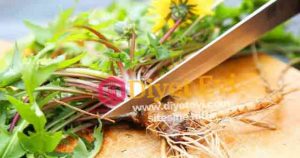 48 saatte kanser hücrelerini öldürebilecek kök