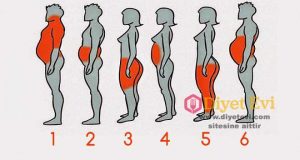 Vücudunuza göre yağ tipiniz hangisi
